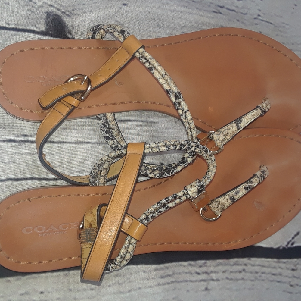 Coach sandals - Picture 2 of 8